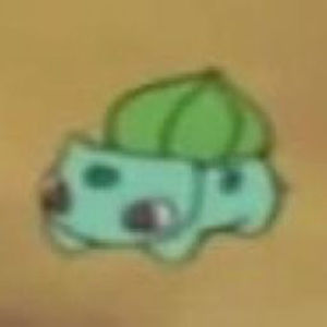 Meet your Posher, Jaime